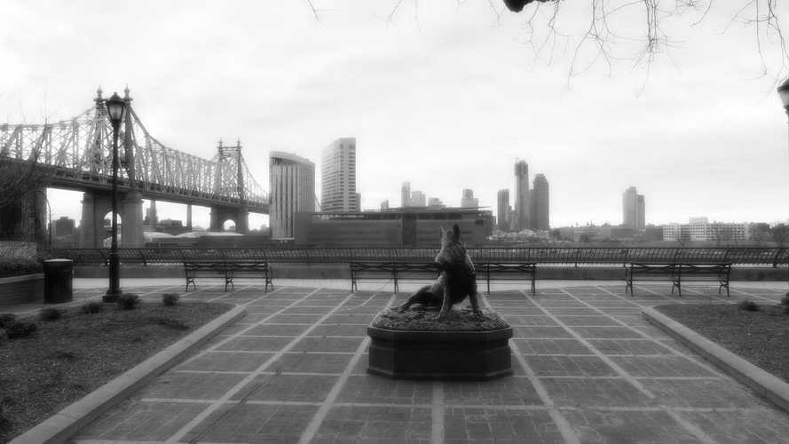 NYC_2020-01-27 07-47-36_P1070740